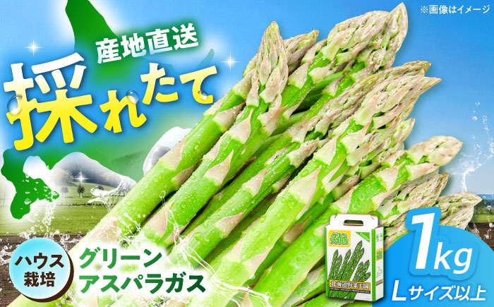 
            【2026年4月上旬以降順次発送】 グリーンアスパラガス 1kg（L以上/ハウス栽培）《喜茂別町》【久保田農園】アスパラ アスパラガス グリーンアスパラ 冷蔵 冷蔵配送 野菜 春野菜 [AJAM011] 15000 15000円
          