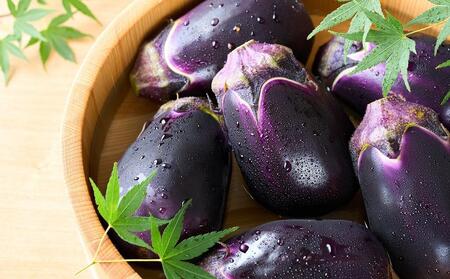 【先行予約2026年7月頃～発送】大阪泉州名産水ナス【生】10個入り