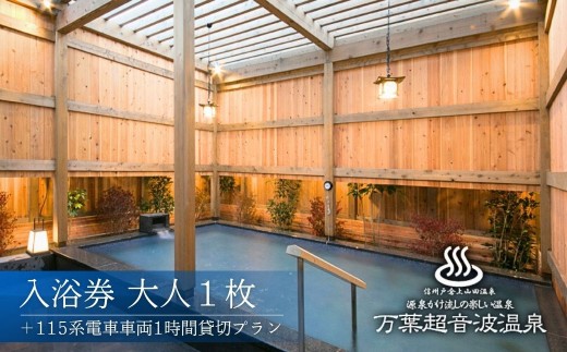 万葉超音波温泉 入浴券(大人1枚)＋115系電車車両1時間貸切プラン | 温泉 旅行 体験 温泉旅行 千曲市 長野県産 信州