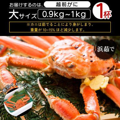 ふるさと納税 越前町 地元鮮魚店厳選 ≪浜茹で≫ 越前がに 大サイズ 1杯【11月発送分】 |  | 03