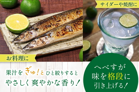 先行予約 訳あり 柑橘 へべす 果実 2kg [へべすの悠美園 宮崎県 日向市 452060461] 不揃い 家庭用 規格外 ヘベス 果汁 宮崎