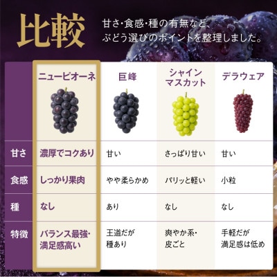 星乃ピオーネ 3房～5房(2kg以上)【配送不可地域：離島・北海道・沖縄県】