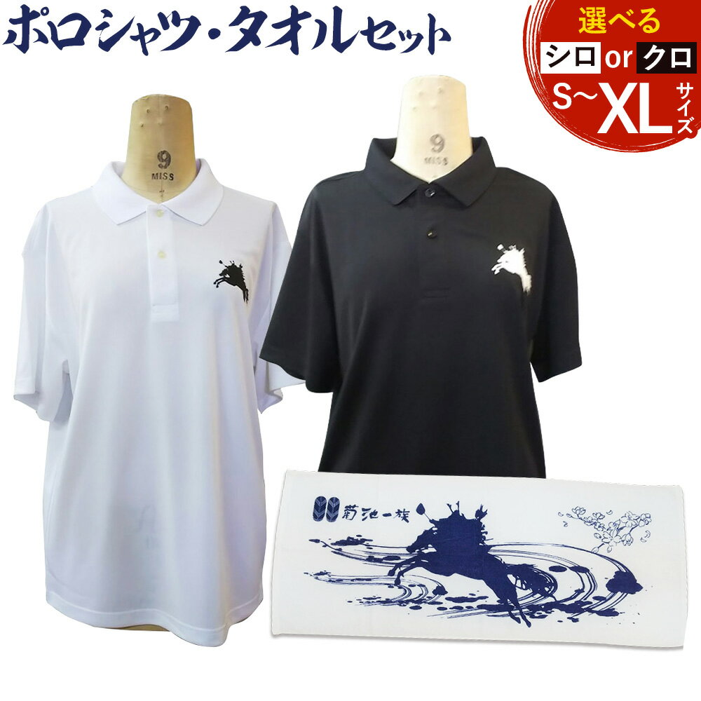 【ふるさと納税】菊池武光公 ポロシャツ・タオルセット 選べる2色 選べる4サイズ S/M/L/XL 株式会社アイエヌ《90日以内に出荷予定(土日祝除く)》熊本県 菊池市 シャツ 半袖 ファッション タオル 菊池一族 タオル ポロ 武光公 菊池武光