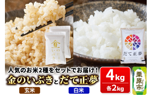 米【玄米】金のいぶき 1kg×2袋【白米】だて正夢 2kg×1袋（合計4kg）2品目 箱入り オリジナルセット