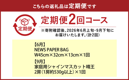 【全2回定期便】家庭用 シャインマスカット 晴王 2房（1房約530g以上）＋ NEWS PAPER BAG（INDIGO） フルーツ 果物 ブドウ ぶどう 葡萄 シャインマスカット マスカット 国産