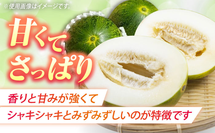 【2025年4月中旬～発送】パパイヤメロン 約5kg（約5～7玉）/ メロン めろん パパイヤメロン 果物 フルーツ / 南島原市 / 長崎県農産品流通合同会社 [SCB086]