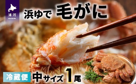 
                  【今が旬！】漁協の浜ゆで毛がに 中サイズ１尾※日付指定対応不可※[02-1417]
                