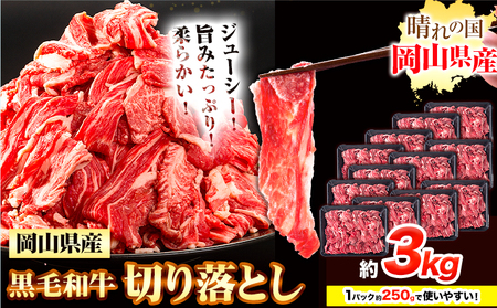 牛肉 黒毛和牛 切り落とし 3kg《30日以内に出荷予定(土日祝除く)》 岡山県 浅口市 牛 牛肉 和牛 牛丼 カレー 小分け 小分けパック 250g 送料無料
