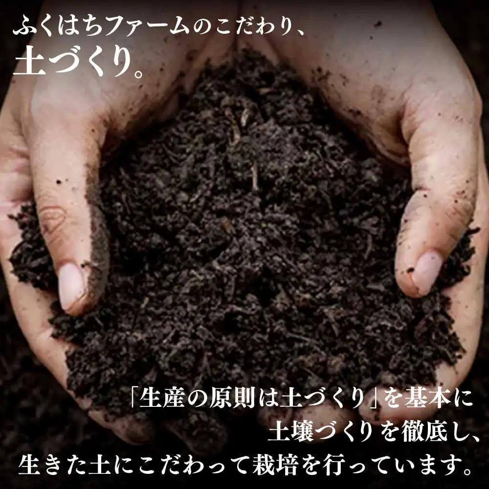【2027年6月-発送】【2回定期便】南島原の桃を食べ比べ 化粧箱入り 計2kg 日川白鳳 夢富士 あかつき なつっこ / 桃 もも ハウス桃 フルーツ 果物 / 南島原市 / ふくはちファーム[SB