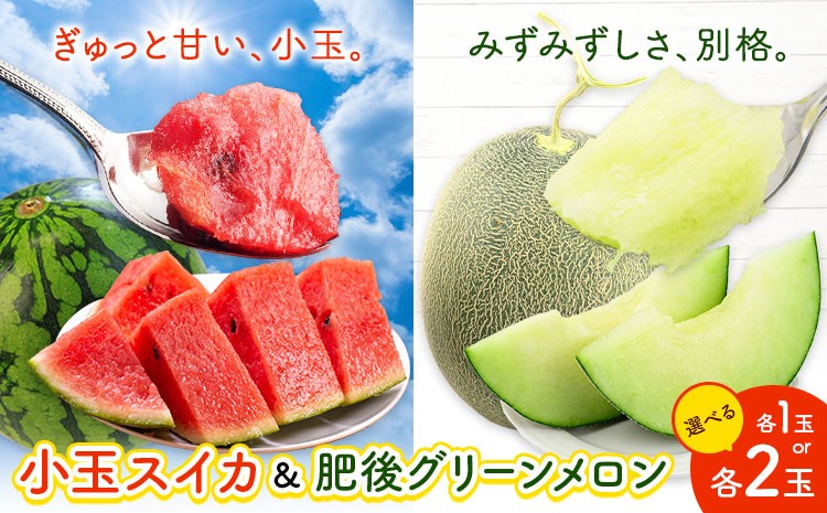 
                  小玉スイカ&肥後グリーンメロン 食べ比べ 選べる 各1玉(計2玉 約3.5kg) または 各2玉(計4玉 約7kg) 日本フルーツ株式会社 《5月中旬-7月末頃出荷》 熊本県 菊池市 西瓜 メロン 熊本県産
                