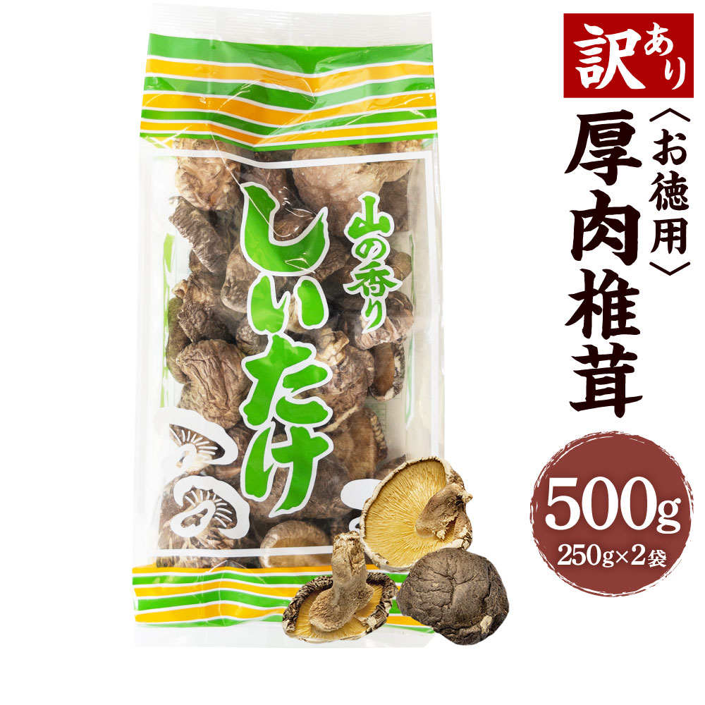 【ふるさと納税】【訳あり】お徳用 厚肉 椎茸 500g （250g×2袋） 椎茸 しいたけ 乾しいたけ 肉厚 大袋 規格外 大分県産 九州産 国産 FPB15 送料無料