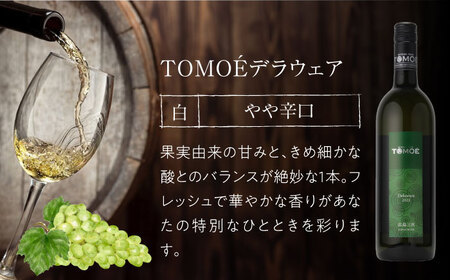 〜TOMOE 厳選3種〜おすすめ飲み比べ3種セット ワイン 受賞 飲み比べ ワインセット ギフト 三次市 / 広島三次ワイナリー[APAZ027]