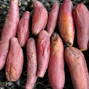 AO-005_【予約・12月中旬発送】冷凍焼き芋「紅はるか」 4kg