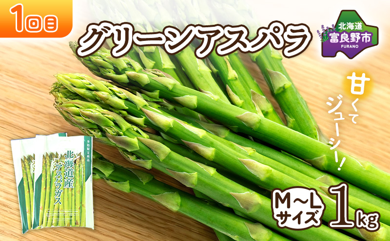 【2026年春～夏発送】[年3回定期便] 新鮮な旬の味覚 爽風の
