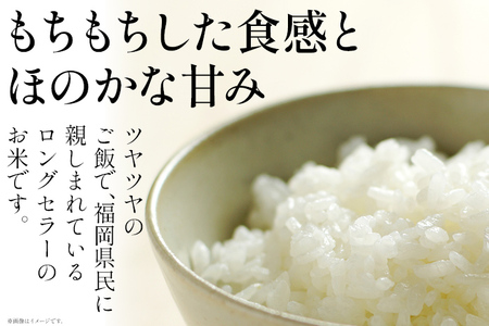 【無洗米】金のめし丸 夢つくし 精米 10kg（5kg×2） 米 無洗米 夢つくし 森光商店 老舗 福岡 お米 ごはん ご飯 お弁当 おにぎり 金のめし丸県産米 福岡ブランド米 めし丸 志免 志免町 