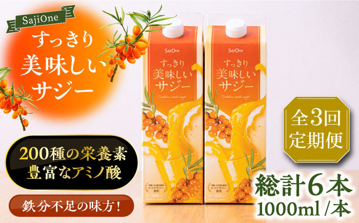 
                  【全3回定期便】美味しいサジーが毎月届く！すっきり美味しいサジー 1000ml×2本《豊前市》【ハウスボトラーズ】[VAX036] サジージュース 飲料 ドリンク サジー 健康 美容 ビタミンC 鉄分 ジュース スーパーフルーツ さじー 紙パック 飲みやすい
                