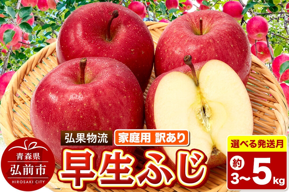 
                  りんご【選べる発送月 26年9月／10月】早生ふじ【訳あり】【選べる約 3kg／5kg】青森県 弘前市 [早生ふじ りんご 訳あり 家庭用 アップル おいしい 果実 果物 詰め合わせ 詰合 赤色 美味 林檎]
                