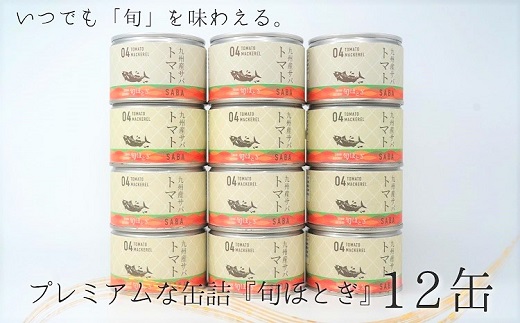 缶詰工場直送　伝統のさば缶「旬ほとぎ」トマト煮12缶【B2-115】