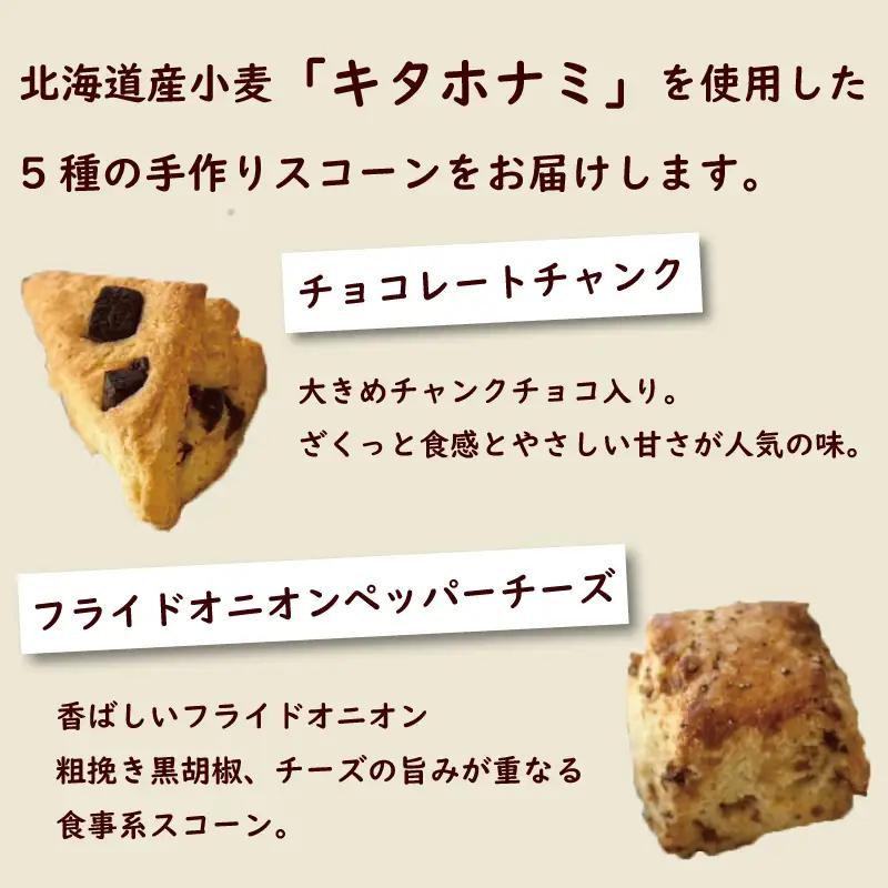 スコーン 10個 セット 5種 【 スコーン 】
