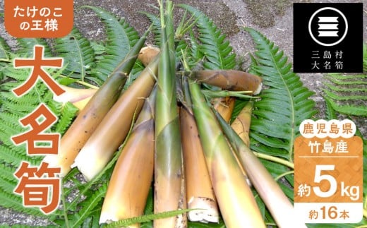 
            【2025年お届け】大名筍 5kg ( 約16本 ) (竹島産 )
          