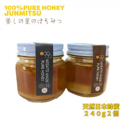 ふるさと納税 美里町 【数量限定】熊本県 美里町 はちみつ 純蜜 240g×2個【中蓮寺農園】