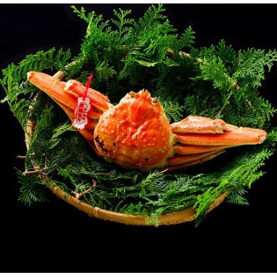 ふるさと納税 若桜町 【先行予約】鳥取県産　タグ付き浜茹で松葉がに　800g以上×1枚