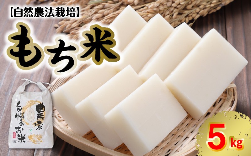 
                  カワノ農園 もち米5kg(自然農法栽培) _U70-0273
                