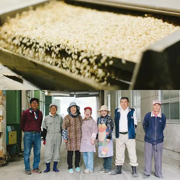 米 福岡県産 夢つくし ふるさと納税 らくらく お米便 60kg コース｜米