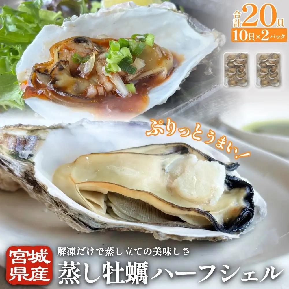 宮城県産 蒸し牡蠣 ハーフシェル 10貝 2P セット （ 計20貝 ）  牡蠣 かき カキ 貝 加熱調理済 海鮮 魚介 魚介類 冷凍 宮城県 宮城 石巻市 石巻