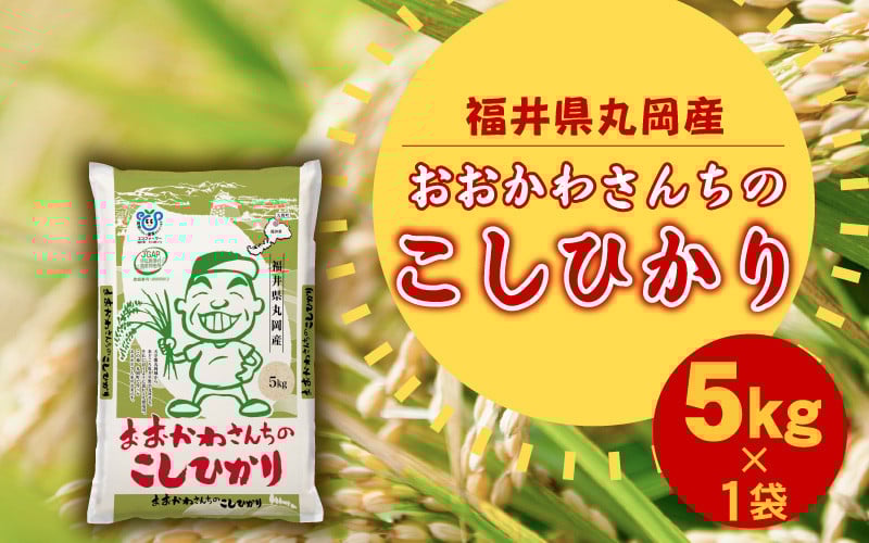 
            【令和7年産・新米】 おおかわさんちのこしひかり 5kg 【コシヒカリ 米 おこめ 精米 5キロ ブランド米 国産】 [A-10810]
          