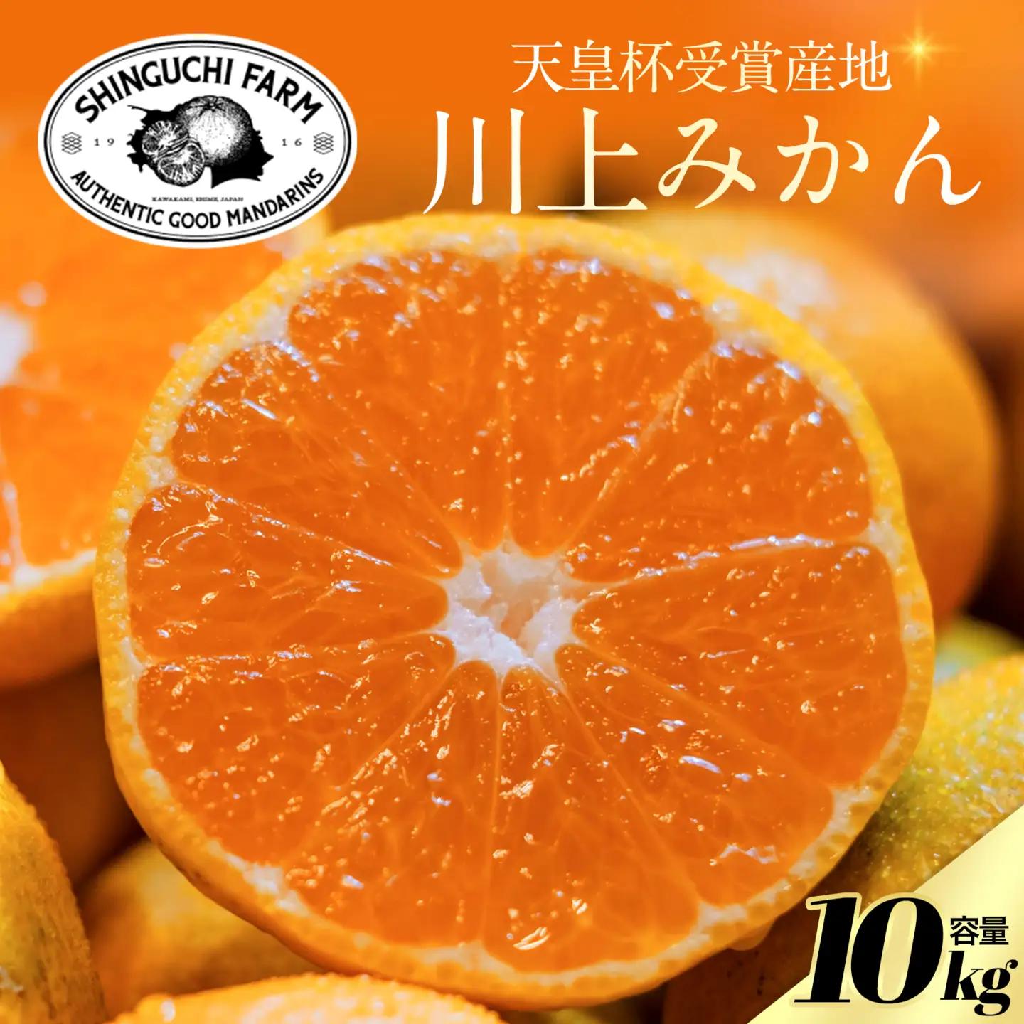 【先行受付】【天皇杯受賞産地】川上みかん 10kg【小玉】【愛媛県八幡浜市】新口農園厳選【E70-127】【1684228】 YWTK126