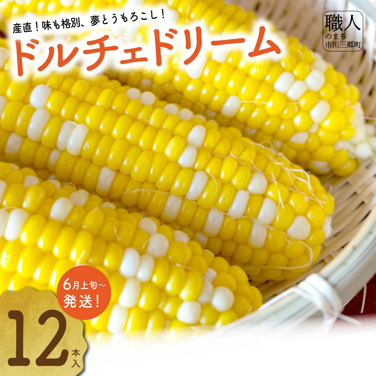【ふるさと納税】市川三郷町産 ドルチェドリーム（とうもろこし）12本入り【2025年6月中旬から発送】薬袋和幸農園[5839-2184]