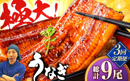 【全3回定期便】中国産 特大うなぎ蒲焼 計660g（220g×3尾）吉野ヶ里町/株式会社フジマキ うなぎ ウナギ 蒲焼[FDM011]