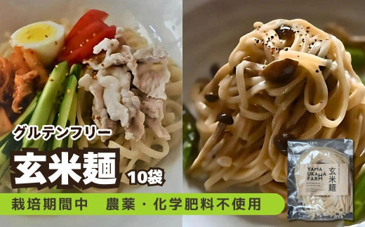 【栽培期間中農薬・化学肥料不使用】玄米麺10袋セット　ヤマウカワファーム グルテンフリー＆ヴィーガン　パスタやうどん、そばの代用食にも　YF00005