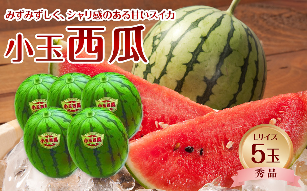 735.【先行予約】【ＪＡ】小玉西瓜 秀Ｌ×5玉　※着日指定不可　※離島への配送不可　※2025年9月初旬頃～10月中旬頃に順次発送予定 313726_BN004