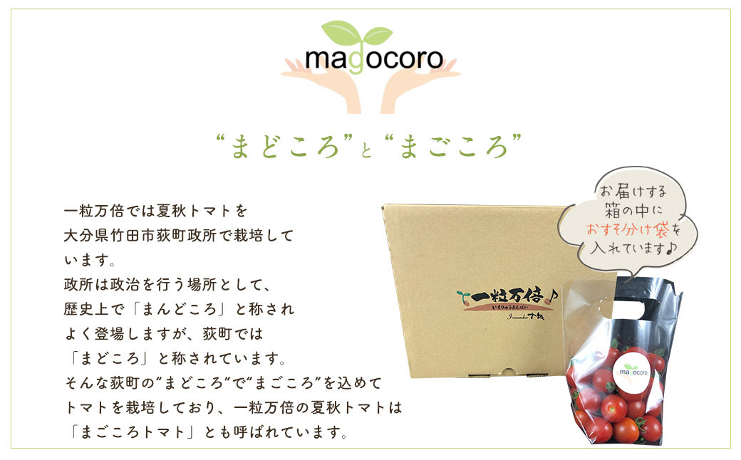 お試しサイズ まごころミニトマトの宝石箱 800g (約40～60玉)