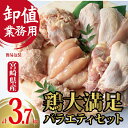 【ふるさと納税】【卸屋／簡易包装／業務用】国県産鶏大満足バラエティセット 計3.7kg（鶏肉 鶏 もも むね ささみ ミンチ 唐揚げ 人気）