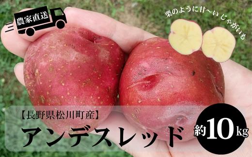 HF50-25B 長野県松川町産じゃがいも アンデスレッド 約10kg / 8月中旬 発送開始予定 // 長野県 南信州 減農薬栽培 いも 芋 イモ ジャガイモ エコファーマー認証 農家支援 産地直送 