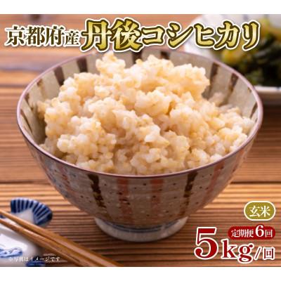 ふるさと納税 京都府 【毎月定期便】京都府産 丹後コシヒカリ 玄米 5kg全6回