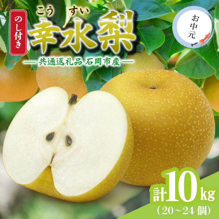 【ふるさと納税】【のし付き】お中元　幸水　10kg(20〜24個)　県内共通返礼品【配送不可地域：離島・沖縄県】 (BR149)