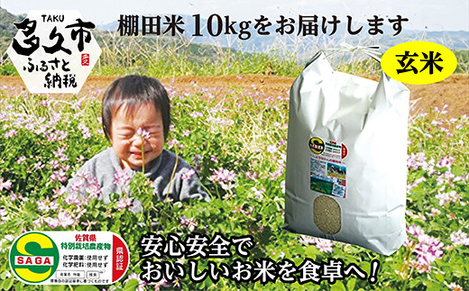 【令和8年産 新米】しょうちゃんの棚田米 夢しずく 玄米 10kg 佐賀県産 米 栽培期間中農薬・化学肥料不使用 _c-43