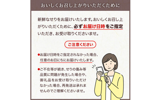 【2025年先行予約】【お届け日時指定必須】漁亭 浜や 宮城ブランド野田鴨で食す仙台せり鍋セット2～3名盛り×2箱セット