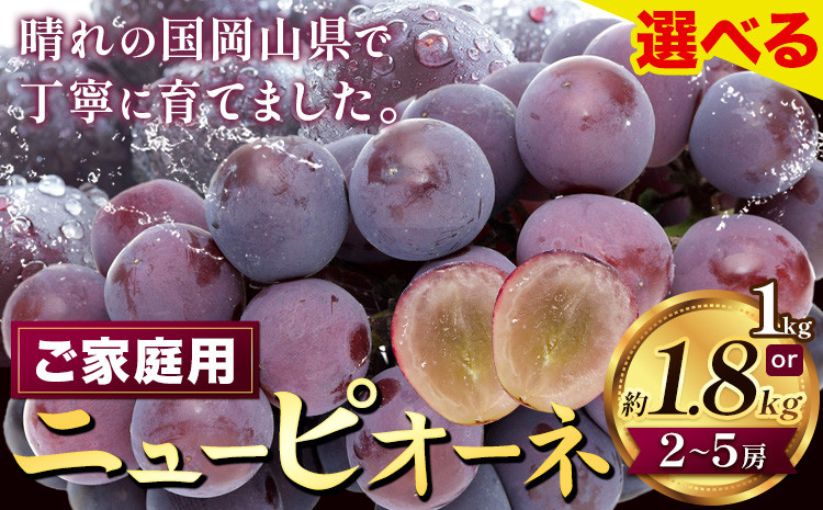 
            【2026年先行予約】ぶどう ニューピオーネ ご家庭用 1kg 以上 または 約 1.8kg 2房 ~ 5房《2026年8月上旬-9月中旬頃出荷》株式会社fruceed ぶどう 送料無料 岡山県 浅口市 ぶどう フルーツ 果物 くだもの ピオーネ 家庭用 st-p
          