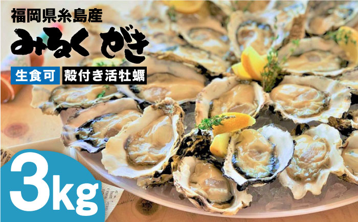 
            【日時指定可】みるくがき 3kg ◆生食可 から付き 活牡蠣 《糸島》【豊久丸】牡蠣 生カキ 生食用 殻付き カキ 生牡蛎 生食可 [AEJ005] ランキング 上位 人気 おすすめ
          