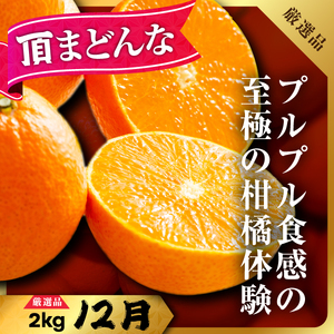 【発送月固定定期便】美味しいみかん柑橘のある暮らし【みかん・まどんな・きよみ】【G31-42】全3回【4058603】 YWTAC031