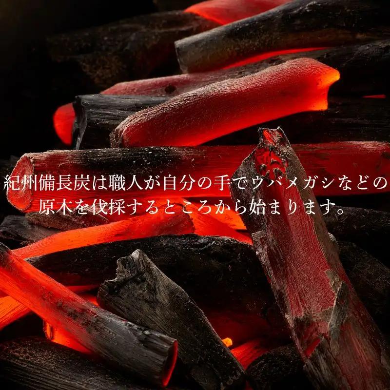 紀州備長炭 バーベキュー用 15kg/ 備長炭 和歌山 田辺市【ask005】 