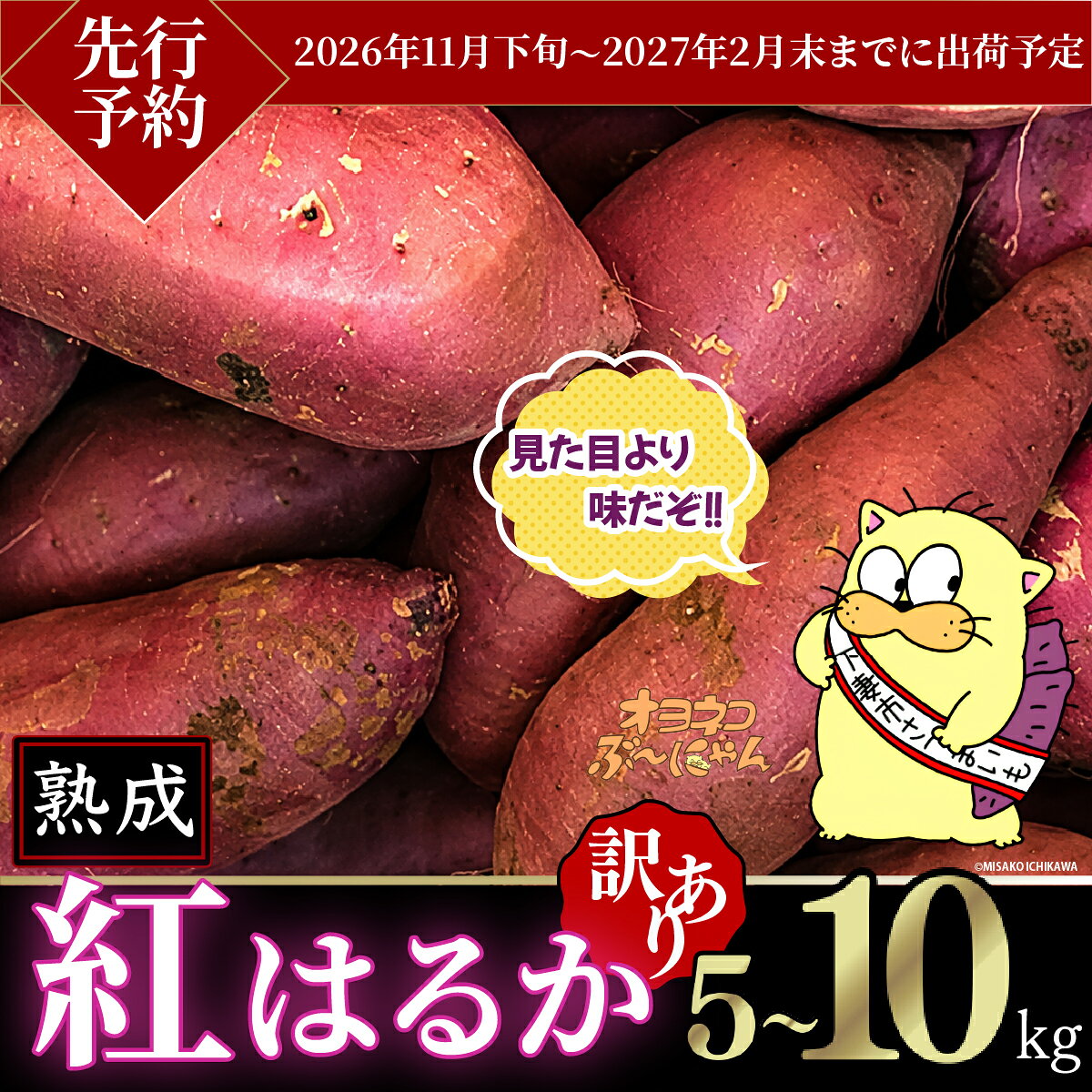 【ふるさと納税】【先行予約】【訳あり】茨城県産熟成さつまいも「紅はるか」5kg~10kg【 2026年11月下旬頃～2027年2月末までに出荷予定】【さつまいも 紅はるか 芋 サツマイモ 甘い 焼き芋 スイートポテト 茨城県産 大容量 不揃い ねっとり およよ ぶーにゃん 】