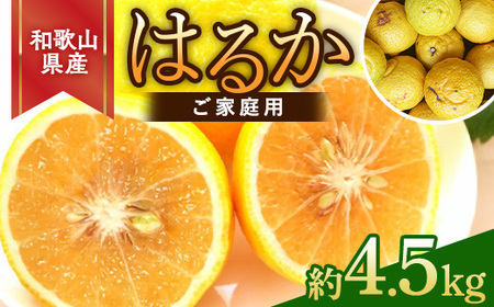 【さわやか柑橘】和歌山県 産 はるかみかん 約4.5kg（サイズ混合 ご家庭用）｜はるか みかん 柑橘 果物 果実 国産 おすすめ 人気 フルーツ 美浜 和歌山 ※2026年2月下旬～3月下旬頃に順次発送予定