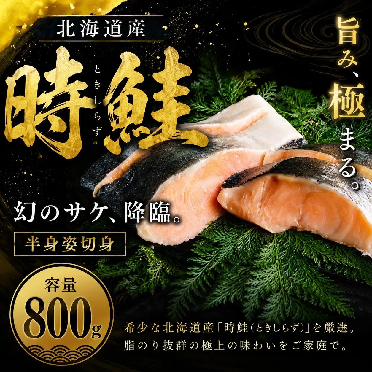 時鮭 切り身 800g [ 北海道 オホーツク ] 訳あり AH021 しゃけ 魚 鮭