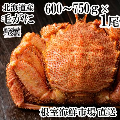 ふるさと納税 根室市 根室海鮮市場<直送>ボイル毛がに600〜750g×1尾(堅蟹) B-28124